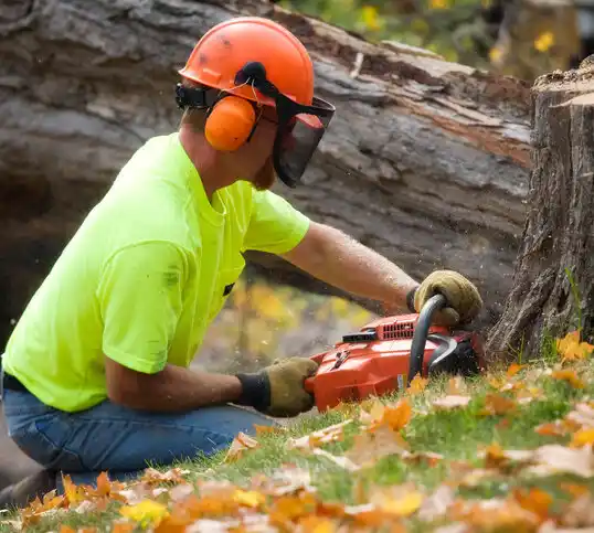 tree services West Point